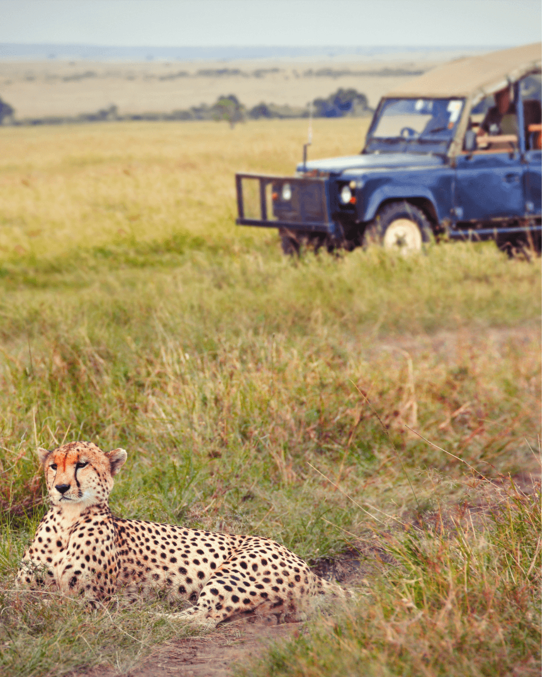 Experiencia Sudáfrica