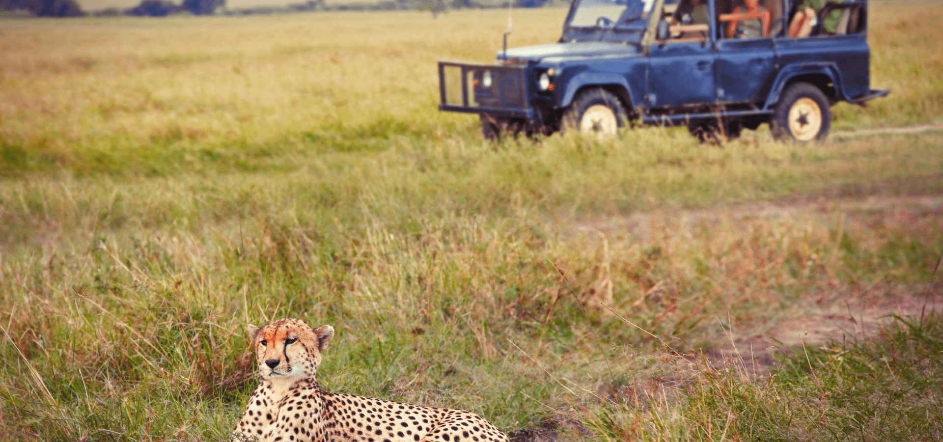 Experiencia Sudáfrica