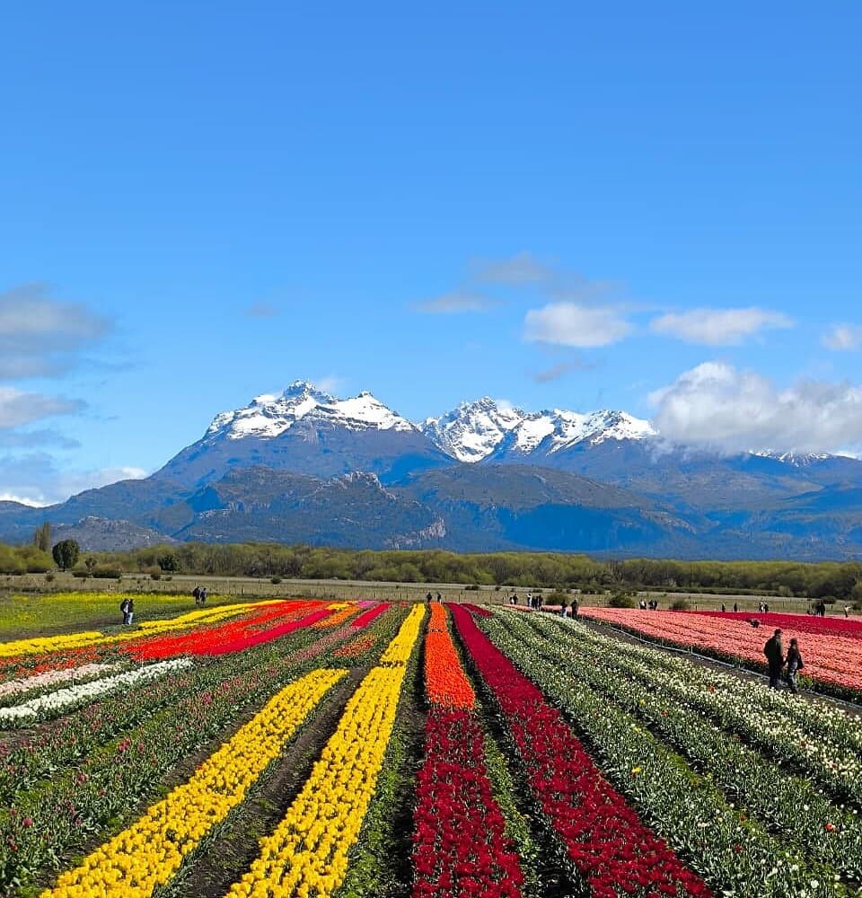 Esquel y El Bolsón Octubre 2026 - imagen 1
