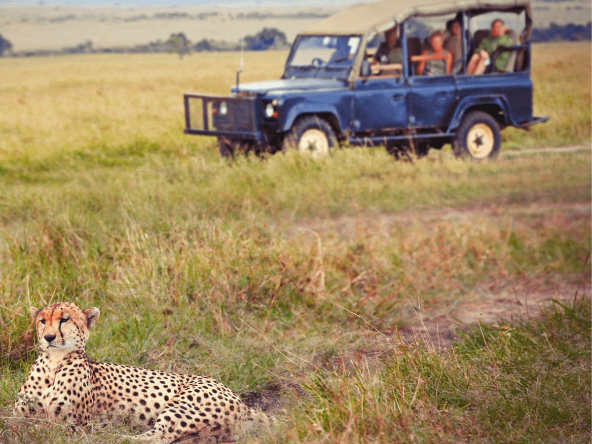 Experiencia Sudáfrica